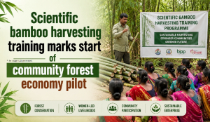 Scientific bamboo harvesting training marks start of community forest economy pilot