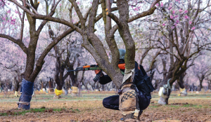 Security forces foil infiltration bids in J&K