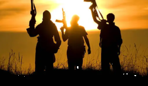 Seven terrorists killed in two Balochistan operations in Pakistan