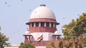 Simian scare has apex court looking for succour