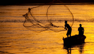 Six Andhra fishermen missing at sea for over 15 days, search operation launched