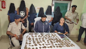 Six arrested with 352 pangolin scales in Odisha's Malkangiri