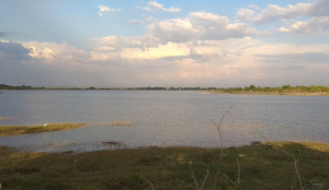Six bodies recovered from Bhutnal Lake in Vijayapura