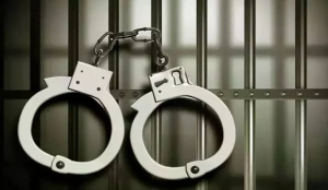 Sledgehammer used to crack a nut: HC quashes blanket ban on foreign travel by govt employees in Haryana