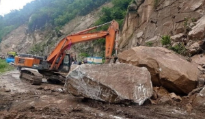 Snakebite, crane fall kill 2 UP workers at Himachal factories