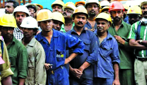 Social security net: What the new EPFO wage ceiling means for employees