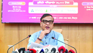 Sonia, Rahul spreading anarchy, Chidambaram pure naxal: Himanta
