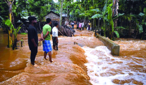 Sought Union Govt package for relief, rehabilitation of flood victims, says Himanta