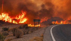 Spain wildfire kills 12 in Almeria as extreme heat fuels deadly blaze