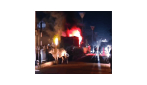 Speeding truck mows down herd of cow on Faridabad road