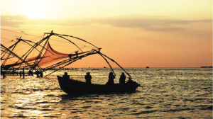 Sri Lankan Navy arrests 12 Indian fishermen for alleged poaching