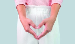 SSF organises menstrual hygiene workshop for teachers