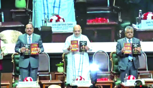 Strength of democracy lies not in conflict but in institutional balance: Shah