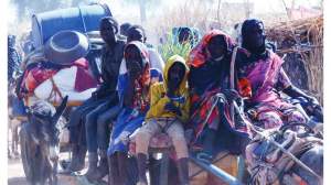 Sudanese paramilitary forces kill 28 in Darfur