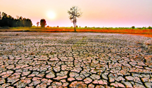 Super El Niño: A brewing climate shock