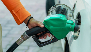 Supreme Court to hear plea seeking ethanol percentage labels at petrol pumps