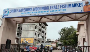 Surat fish market named after PM Modi without civic body's approval, sparks row