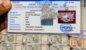 Suspended Hyderabad revenue official booked in assets case, raids unearth properties worth Rs 5 crore