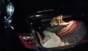 Telangana woman found dead in car boot, boyfriend detained