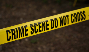 Telangana woman killed by husband after argument over pork curry