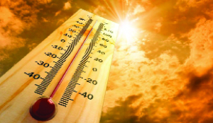 Temperature to rise further in Gujarat