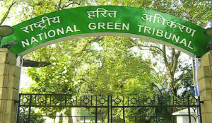 Tenure of 248 members of tribunals extended under new law: Govt to SC