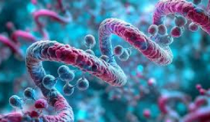 Tesamorelin: Expanding Research Horizons in Growth Hormone–Releasing Hormone Analog Science