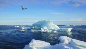 The climate reckoning has begun