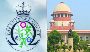 The cost of judicial optics