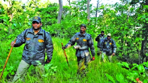 The emerging risk of resource extinction in India