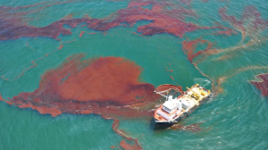 The environmental fallout of the US-Iran war