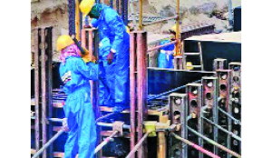 The export of skill, the risk of scarcity