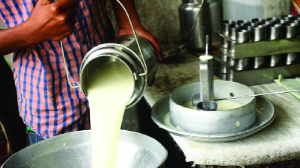 The growing menace of milk adulteration in India