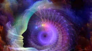 The hidden blueprint of human behaviour