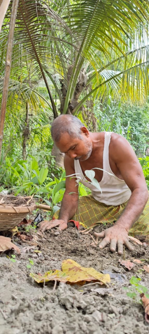 The insight of the Forest Man