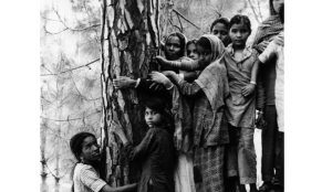 The long history of India’s  changing relationship with nature