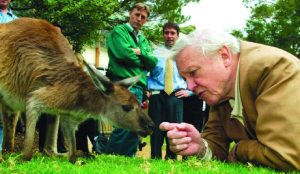 The man who made the world fall in love with nature turns 100