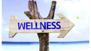 The new age of wellness: Ayush anchors India’s future-ready holistic health architecture