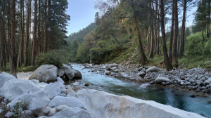 The Tirthan: A Study in Riverine Conservation