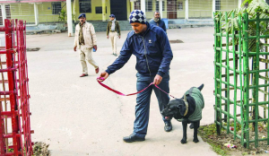 Threat email disrupts court activities in several courts