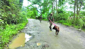 Three killed after assailants attack village in Manipur