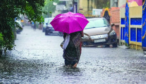 Tirunelveli logs 95% rainfall surge amid TN monsoon deficit