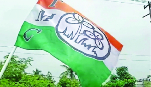 TMC alleges assault by central forces in Nandigram; ECI denies
