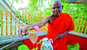 Top Sri Lankan monk arrested for alleged sexual abuse of minor girl