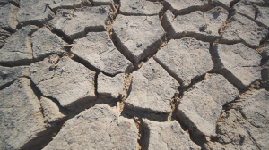 Towards climate resilience