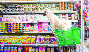 TPCI sets up national committee to promote pet food industry growth