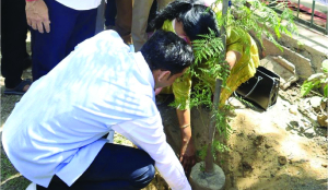 Tree plantation campaign turns into public movement
