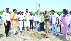 Tree plantation drive held along Yamuna Authority road