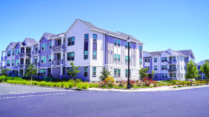 Trump’s houses of cardboards