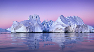 Trump and the art of making friends into foes